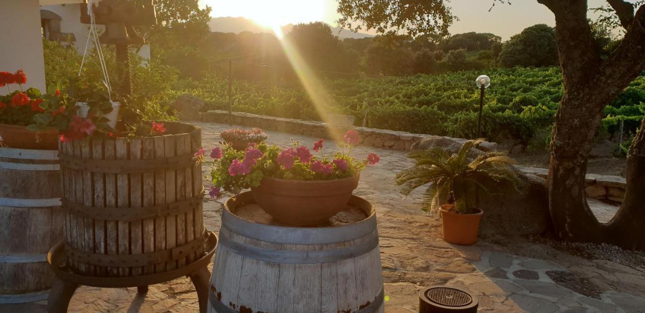 Agriturismo Vermentino Agroturismo *