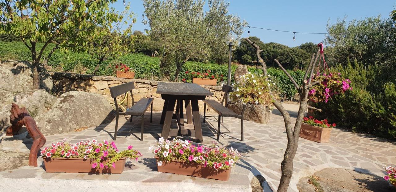 Agriturismo Vermentino Agroturismo *