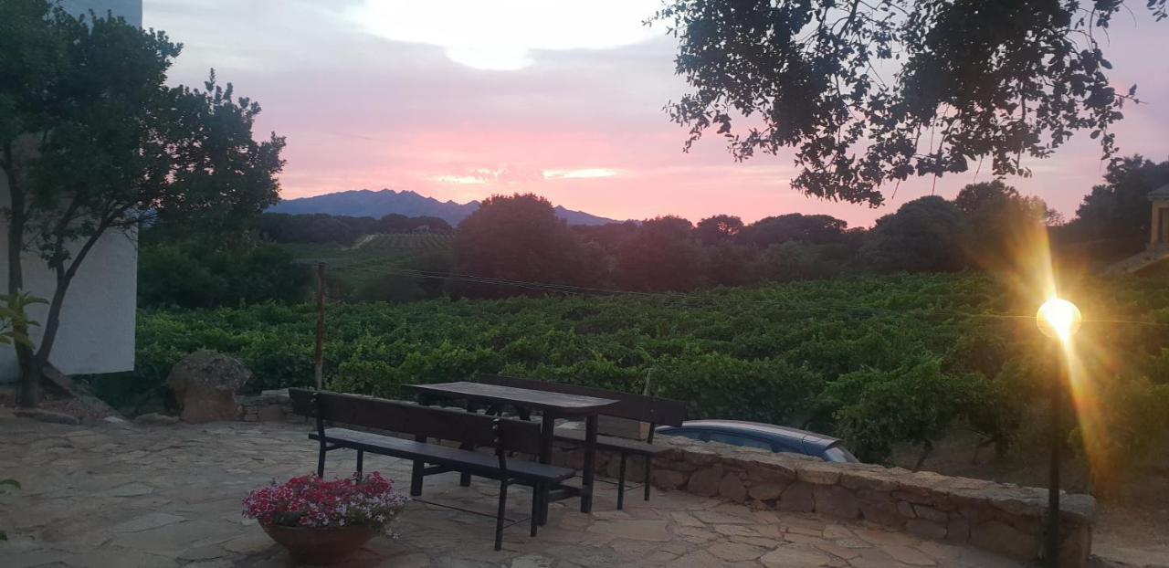 Agroturismo Agriturismo Vermentino