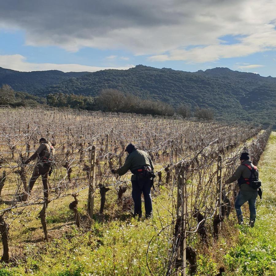 Agriturismo Vermentino Monti