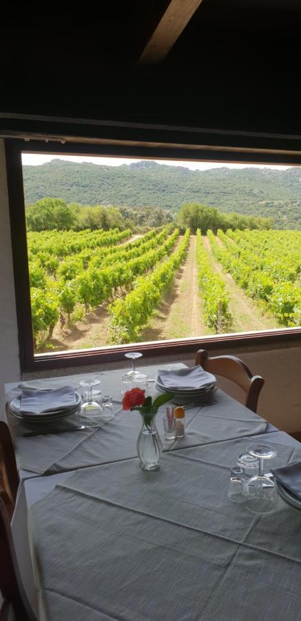 Vermentino Bauernhof Monti